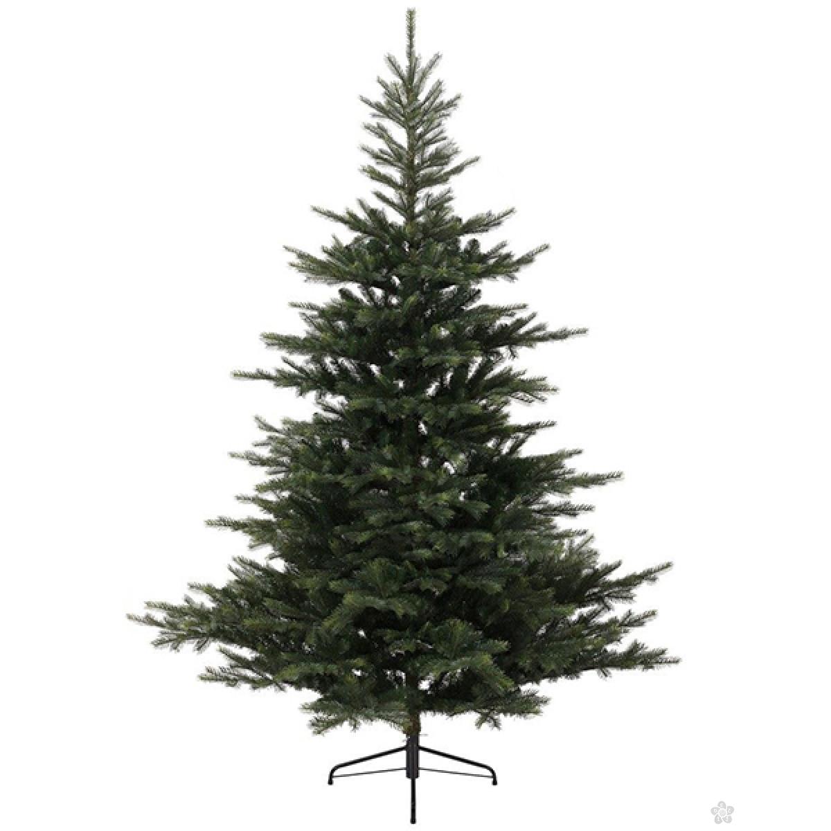 Novogodišnja jelka Grandis Fir 120cm 