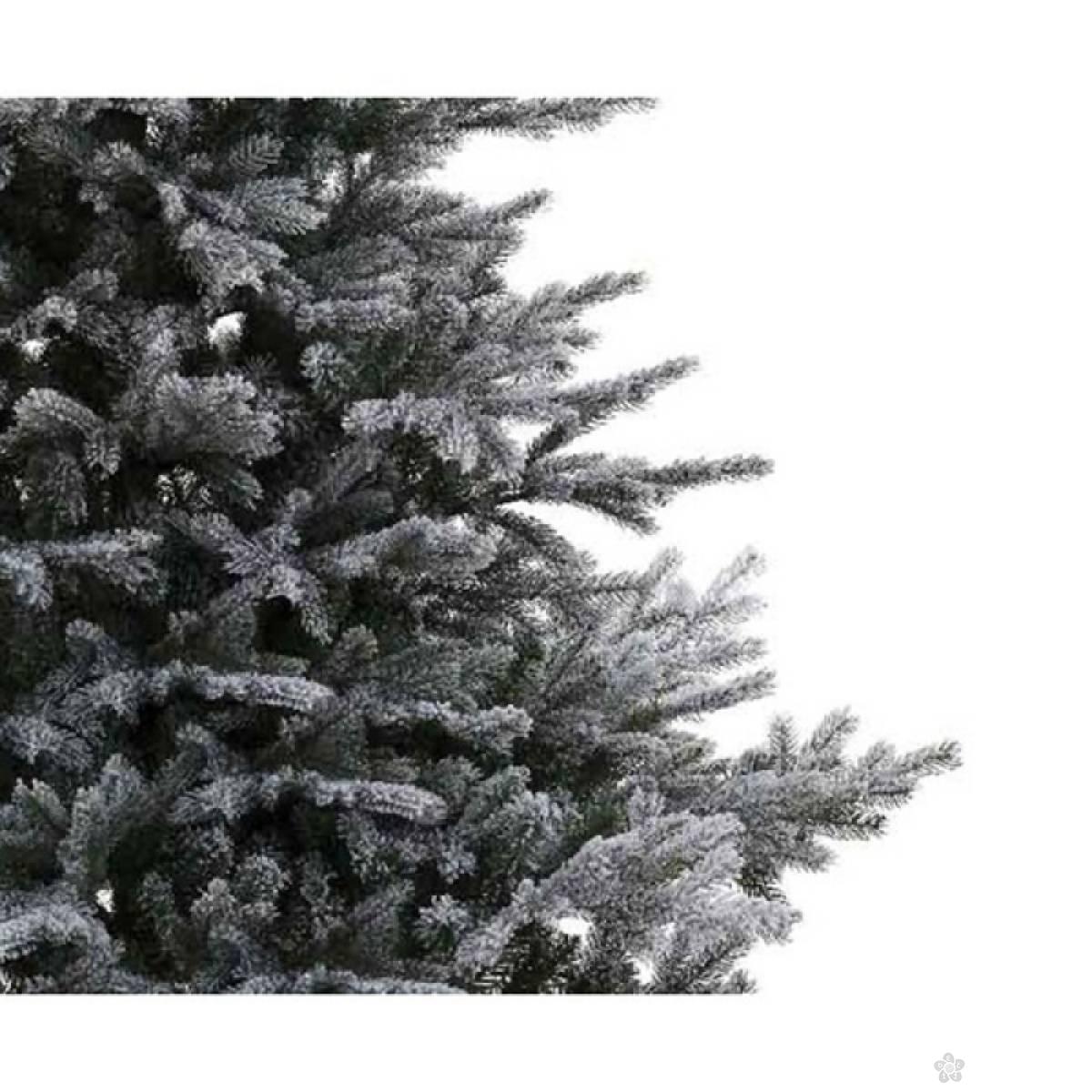 Novogodišnja jelka Grandis fir snowy 120cm 