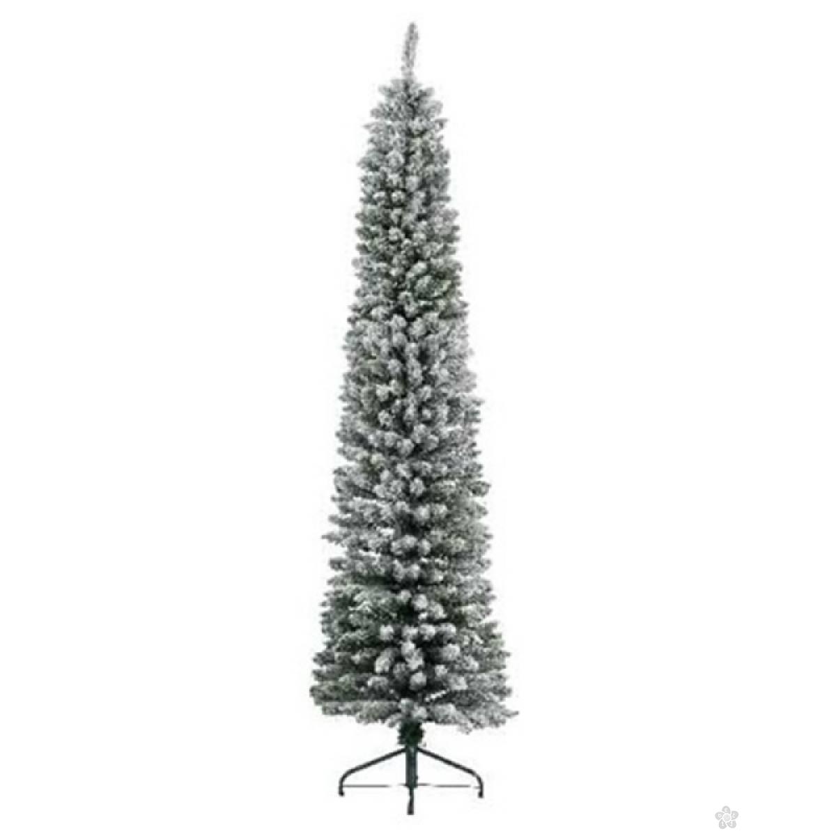 Novogodišnja jelka Pencil pine snowy 150cm 