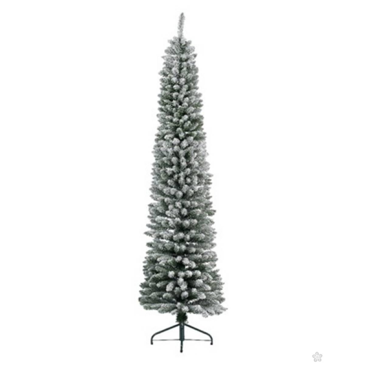 Novogodišnja jelka Pencil pine snowy 240cm 