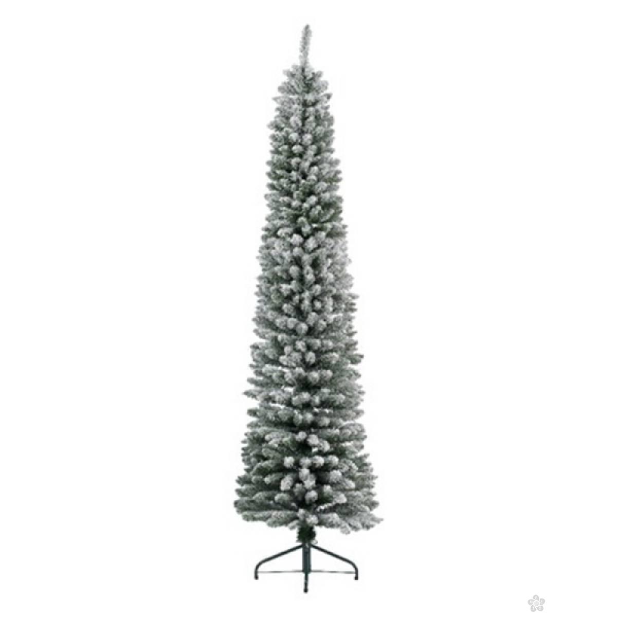 Novogodišnja jelka Pencil pine snowy 300cm 