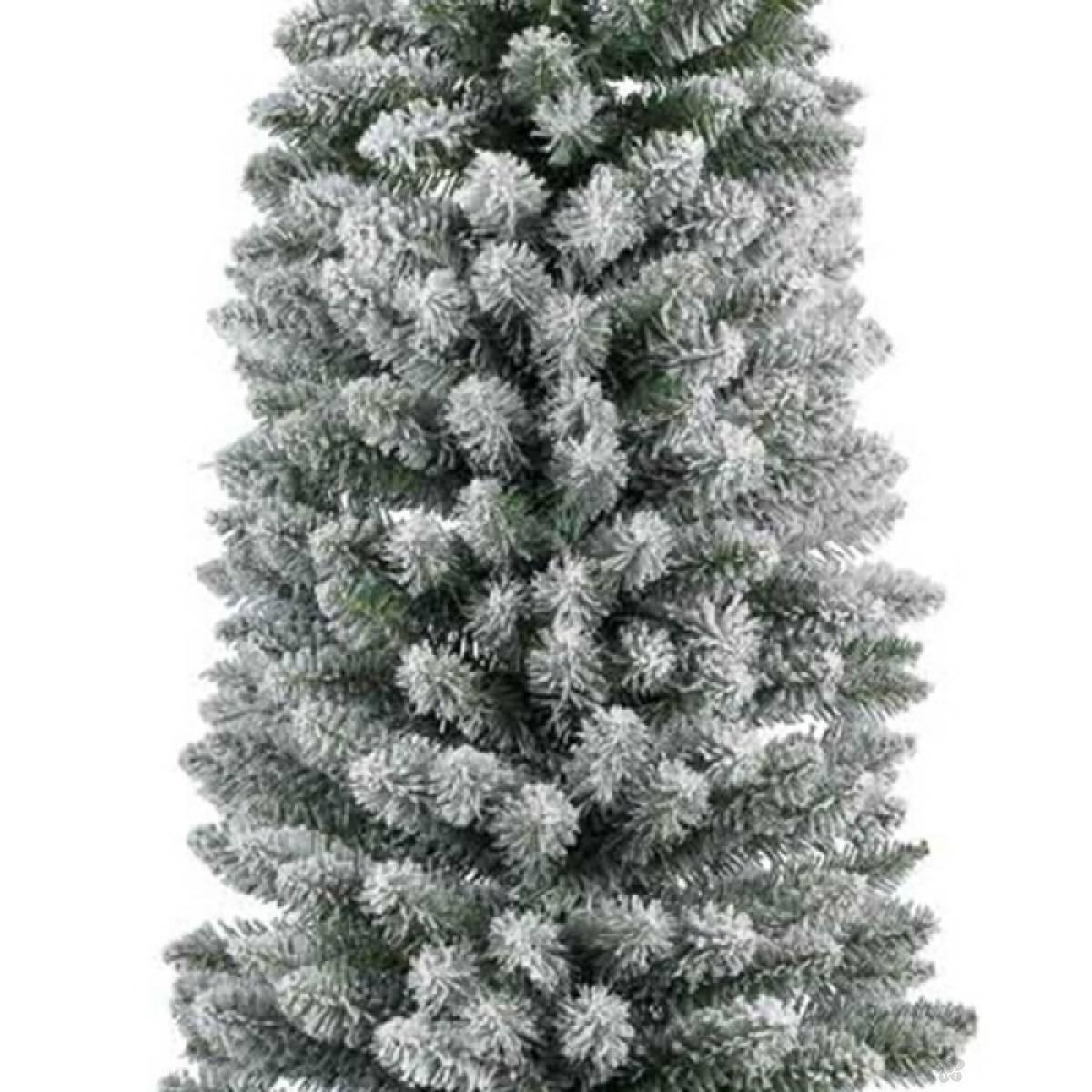 Novogodišnja jelka Pencil pine snowy 300cm 