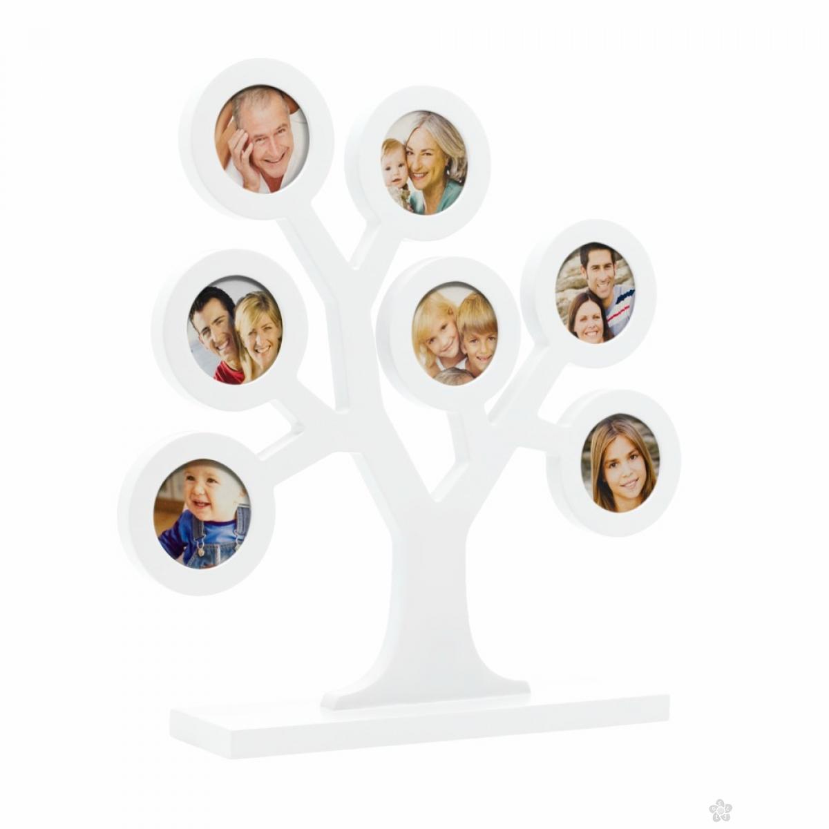 Ram Za Slike Familly Tree Beli P62111 Decji Sajt