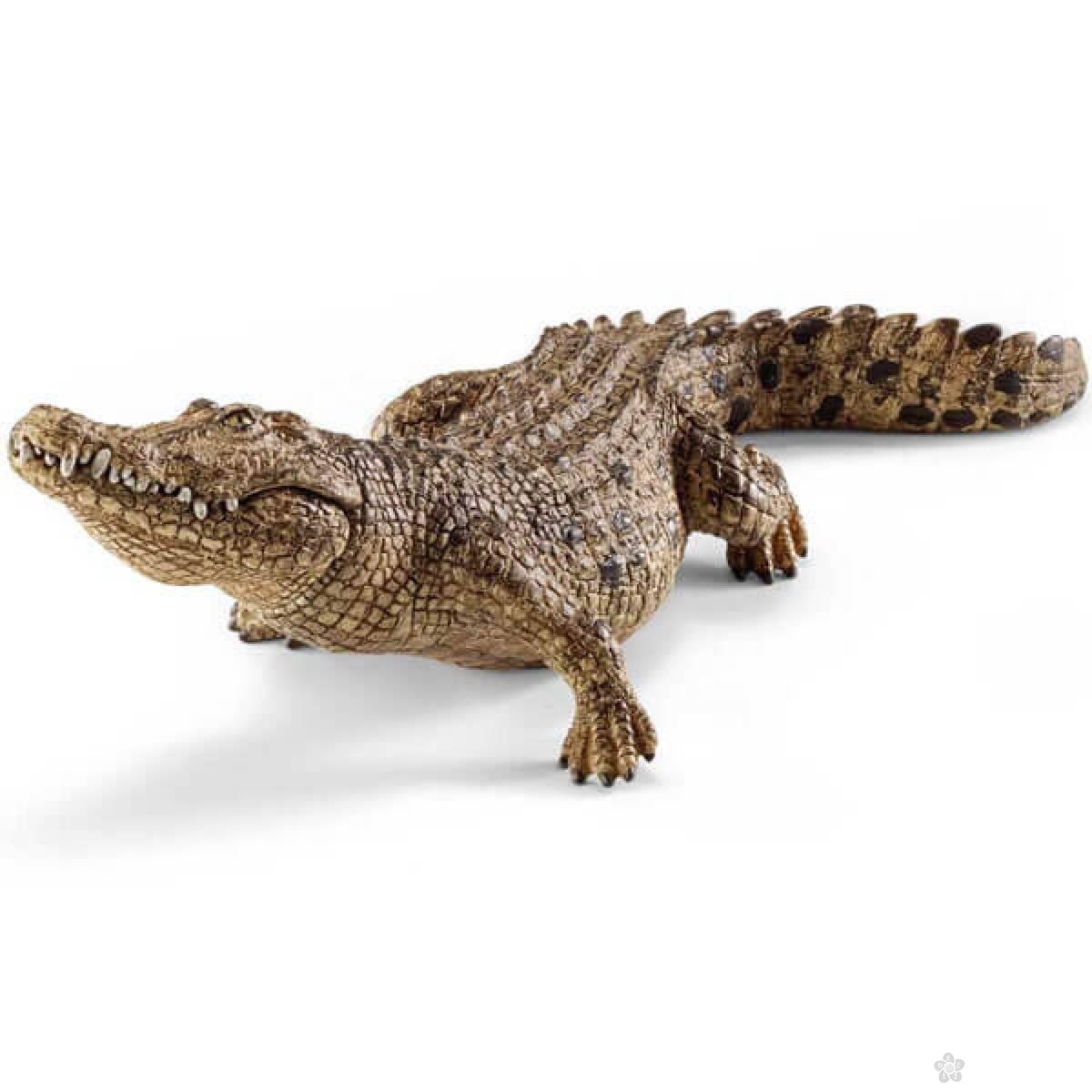 Krokodil 14736 