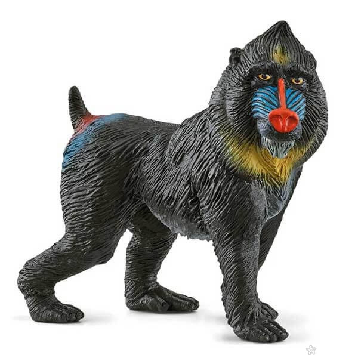 Mandrill 14856 