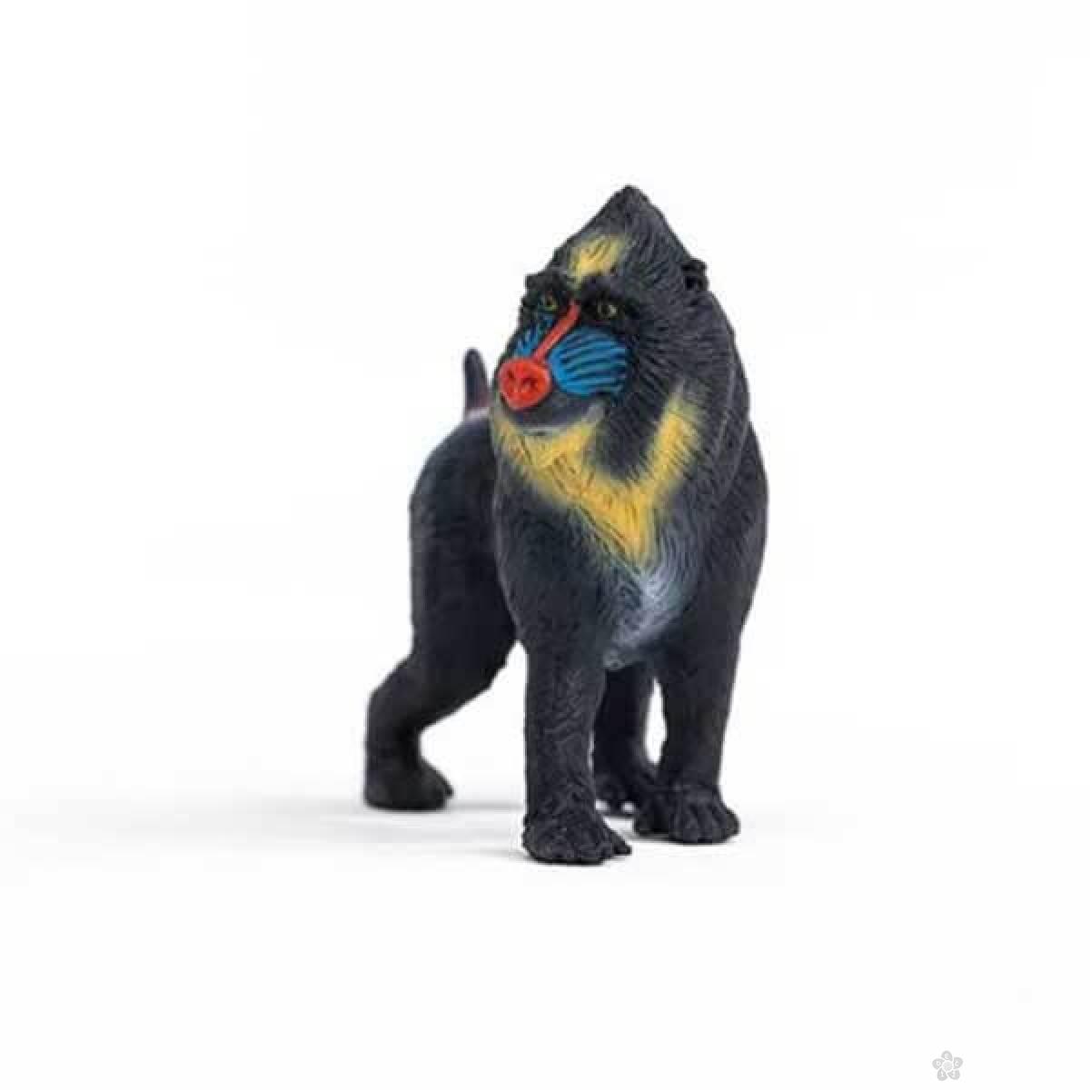 Mandrill 14856 