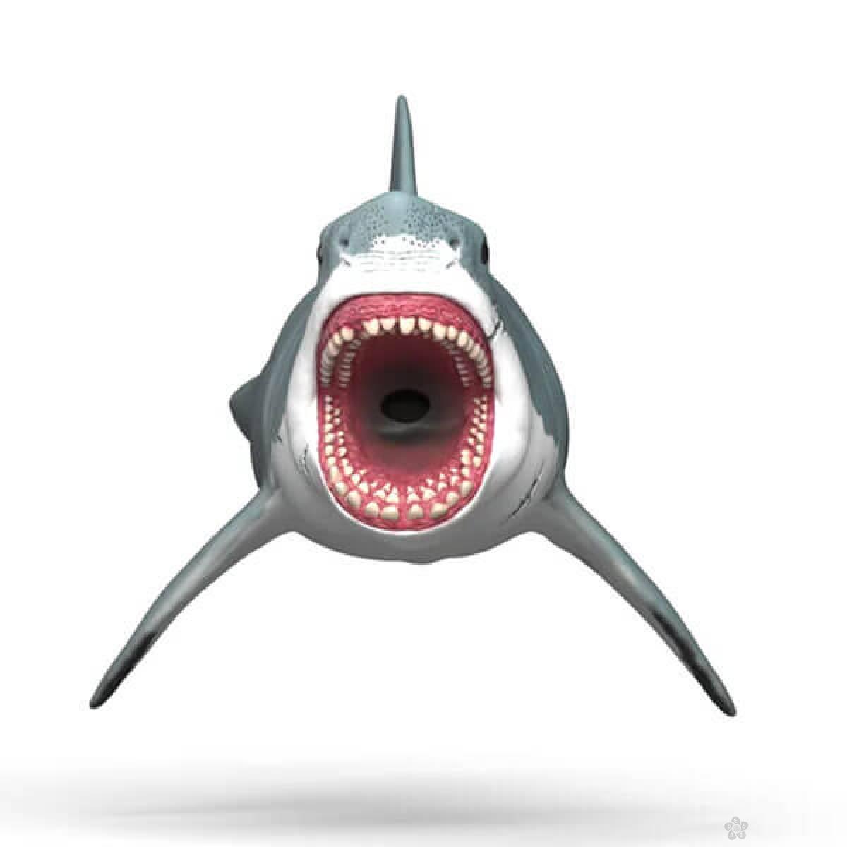 Megalodon 15055 