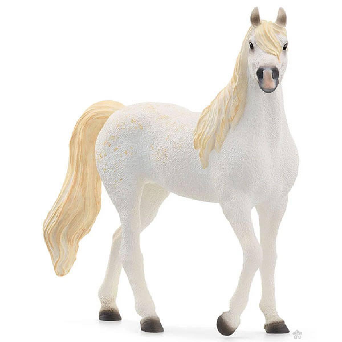 Arabian kobila 13983 