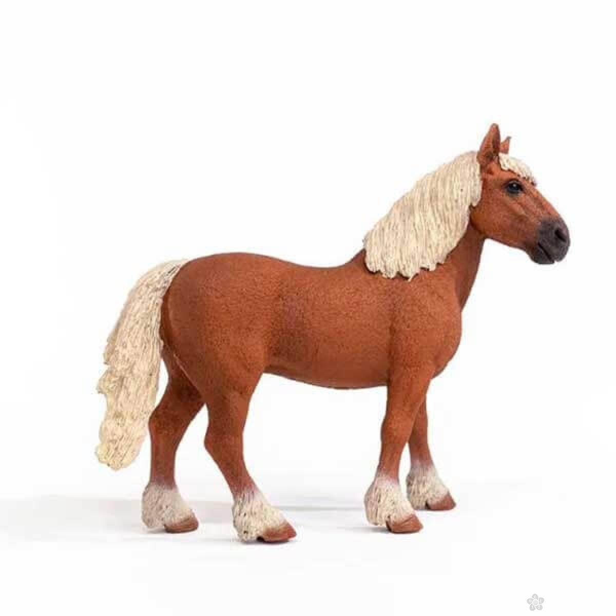 Belgijski konj 13941 