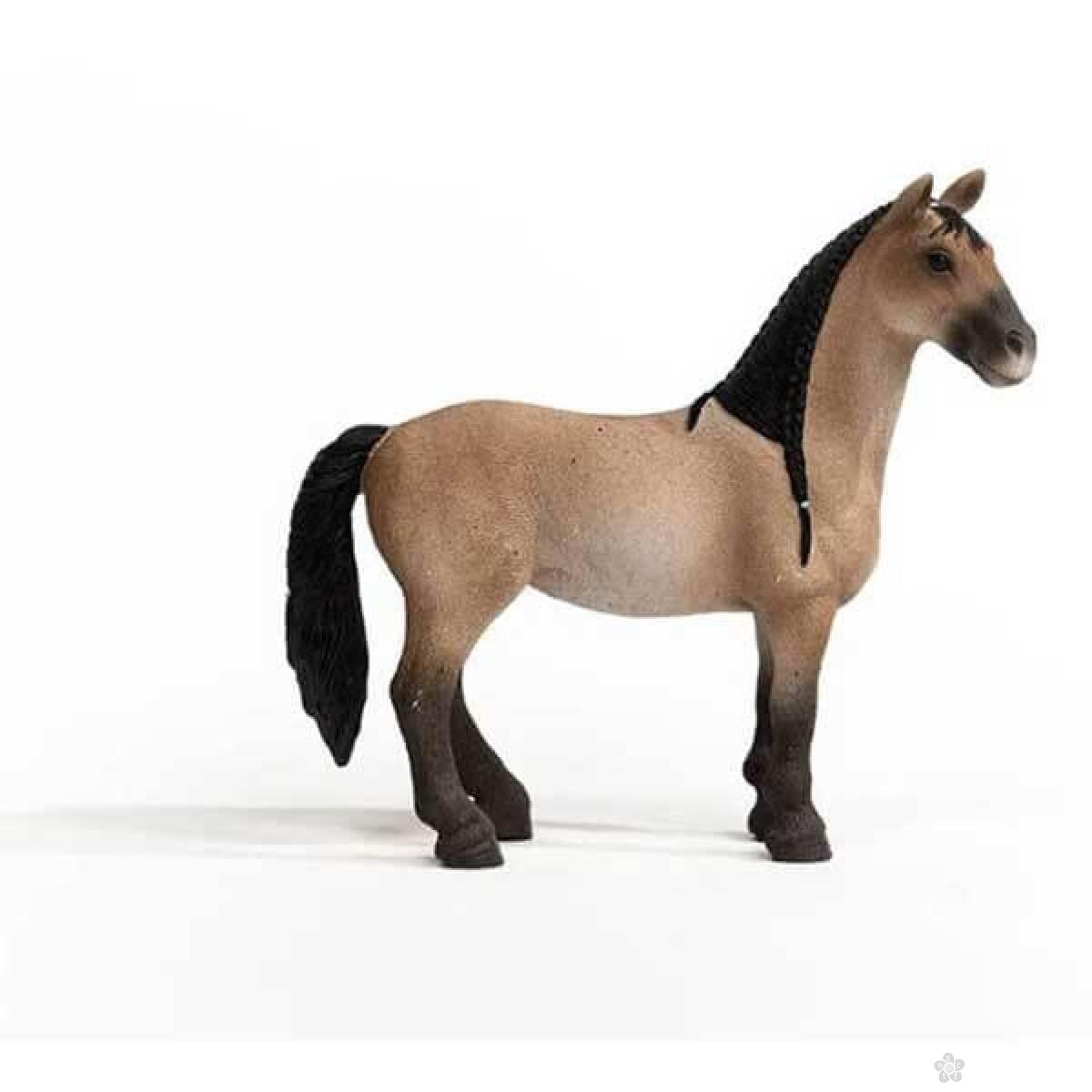 Criollo Definitivo kobila 13948 