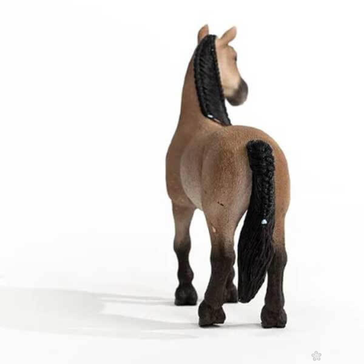 Criollo Definitivo kobila 13948 