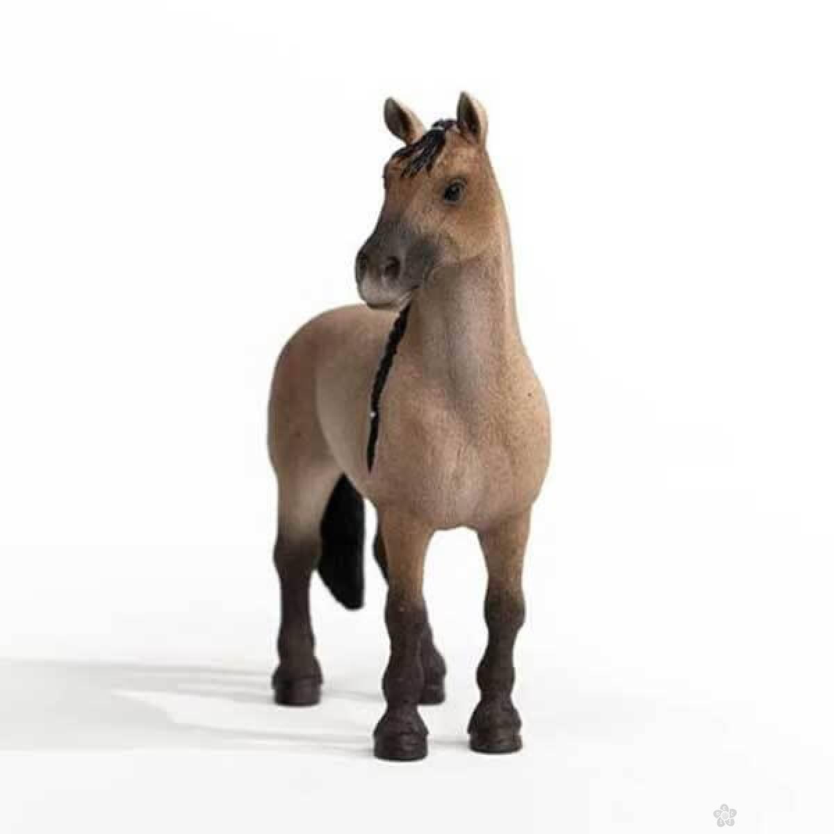 Criollo Definitivo kobila 13948 