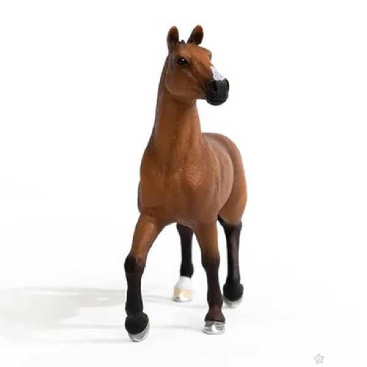 Oldenburger kobila 13945 