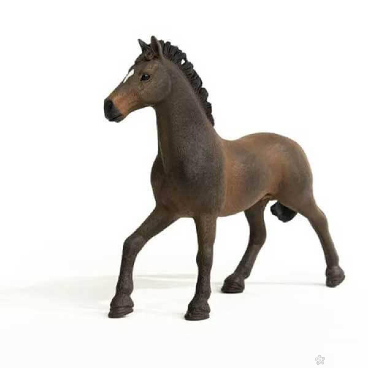 Oldenburger pastuv 13946 