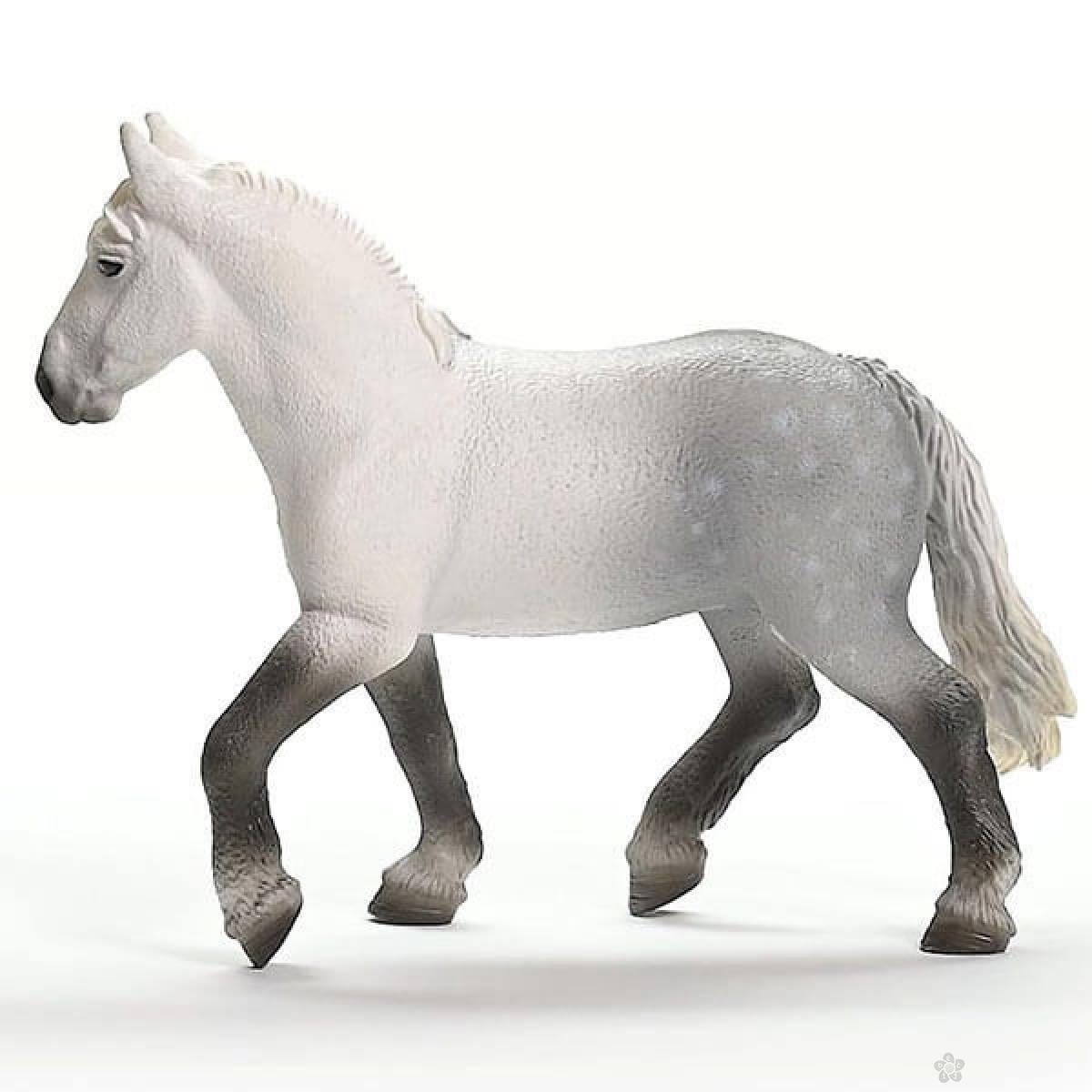 Percheron kobila 13971 