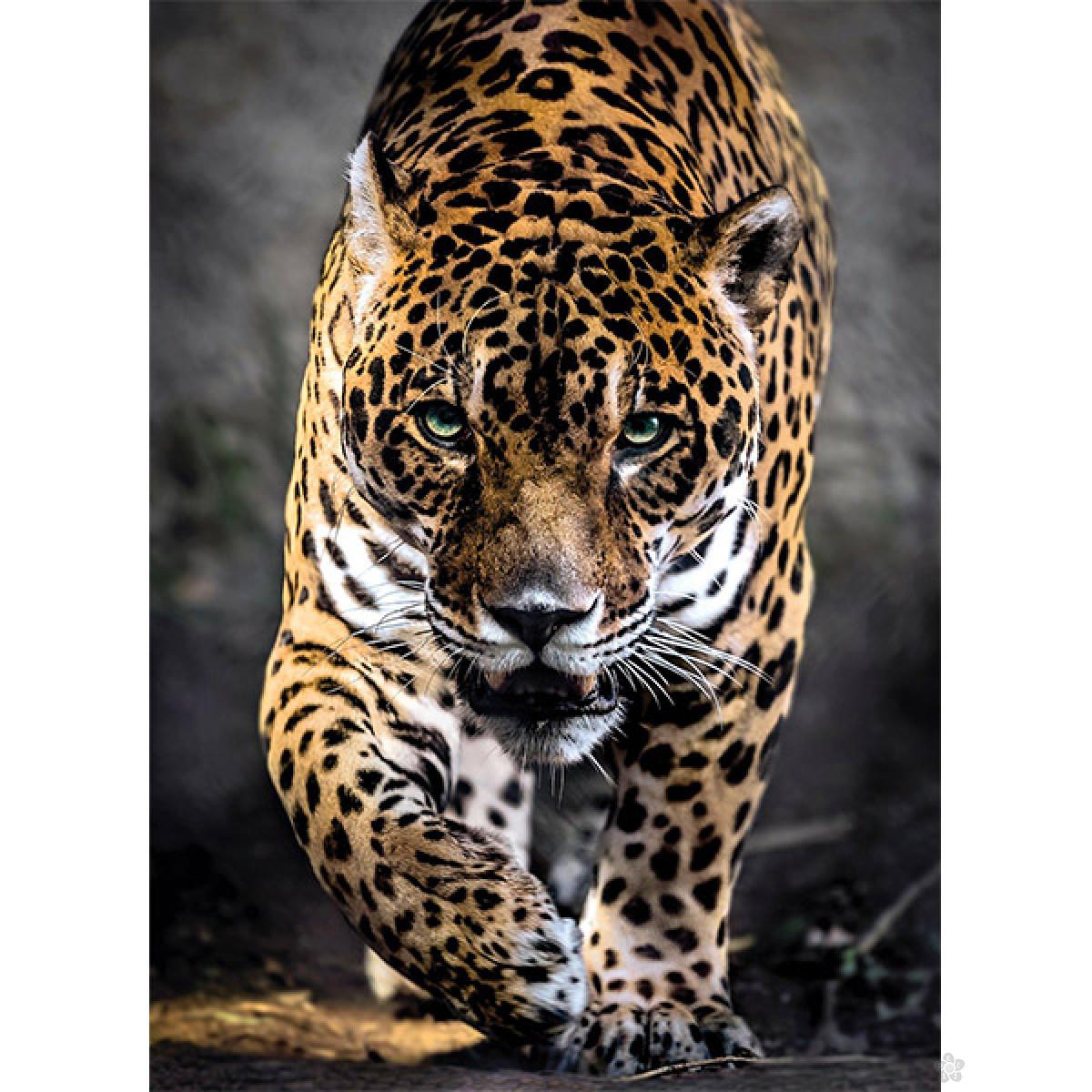 Puzzla Walk on the jaguar 1000 delova Clementoni, 39326 