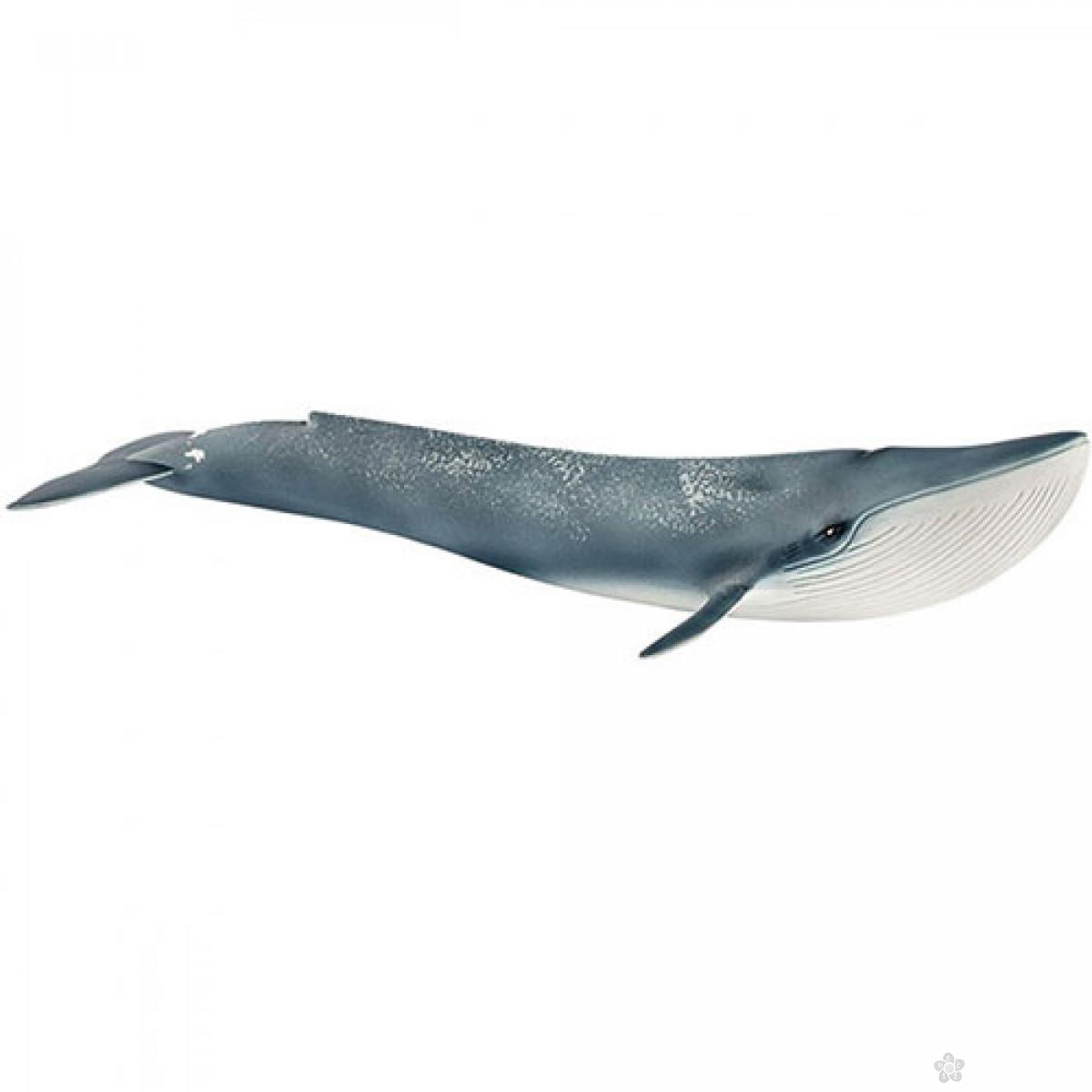 Plavi kit 