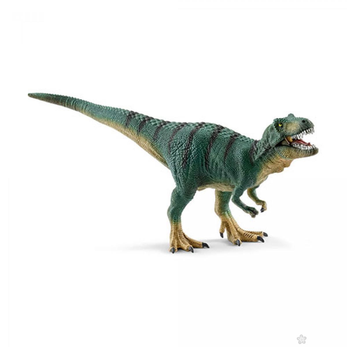 Thyranosaurus rex juvenile 