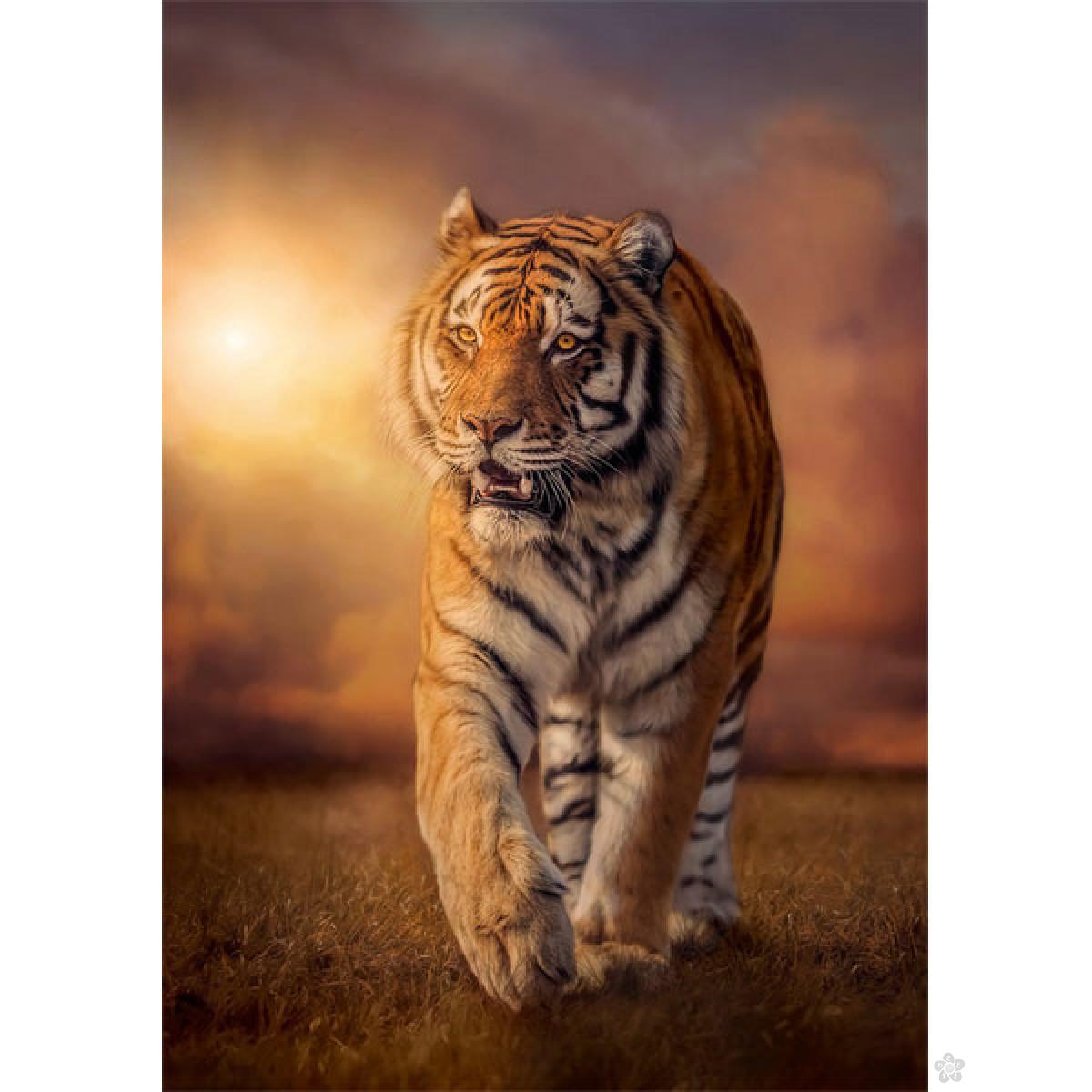 Puzzla Tiger 1500 delova Clementoni 31806 