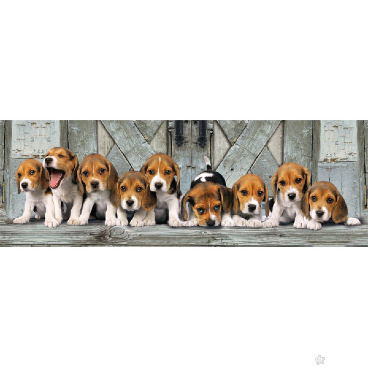 Puzzla Panorama Beagles 1000 delova Clementoni, 39076 