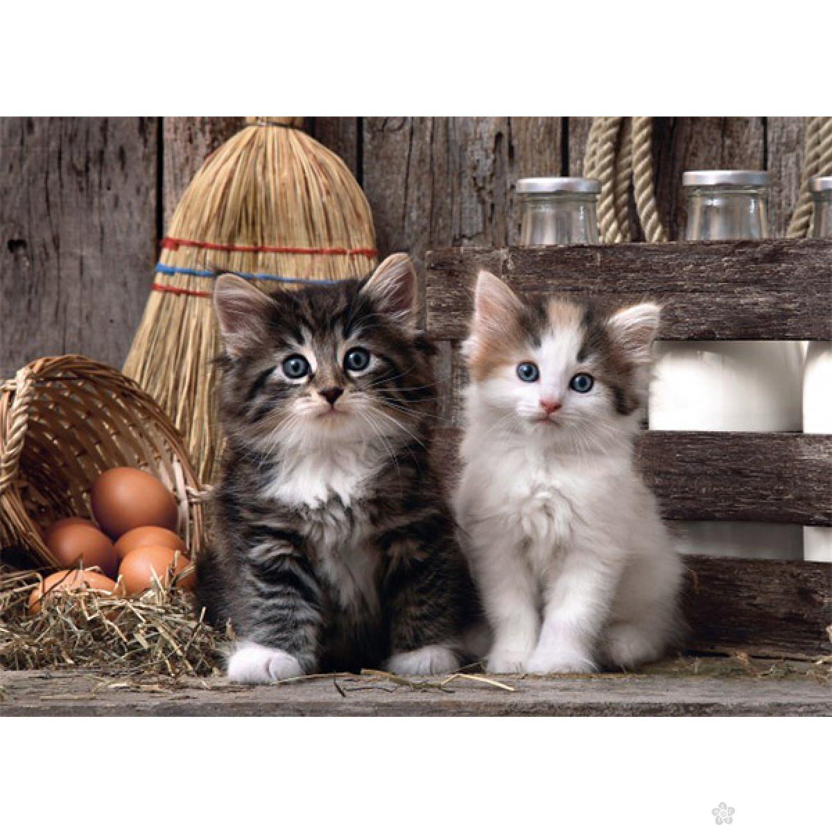 Puzzla Lovely kittens 1000 delova Clementoni, 39340 