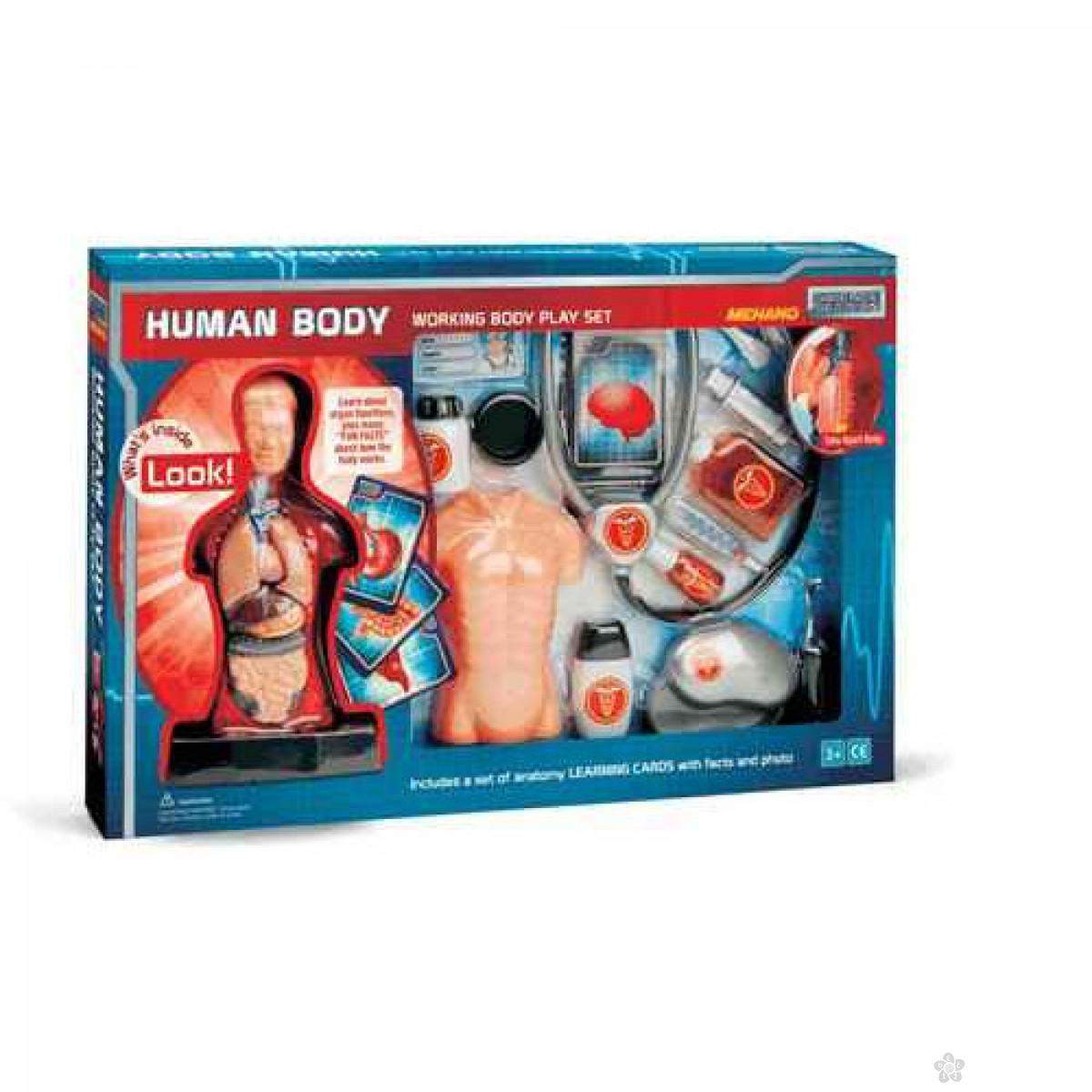 Anatomski set ljudskog tela veliki Mehano E216 