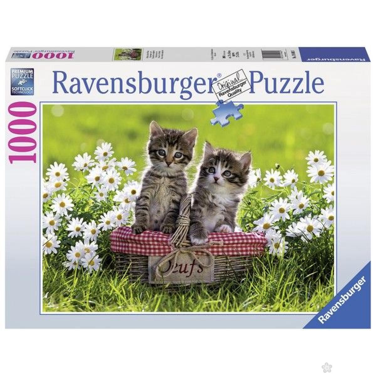 Ravensburger puzzle (slagalice) - Piknik sa mačkama RA19480 