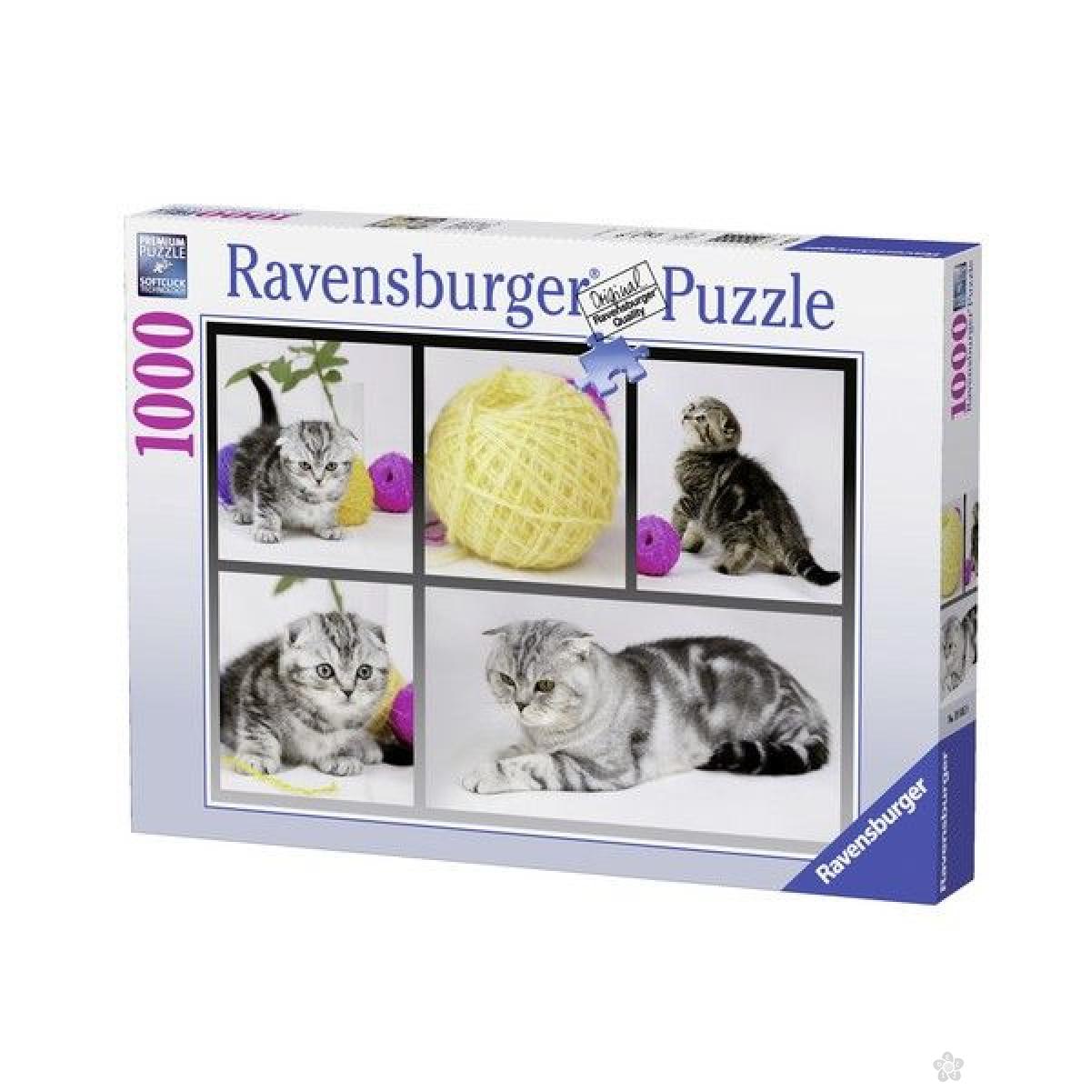 Ravensburger puzzle (slagalice) - Znatiželjni mačići RA19545 