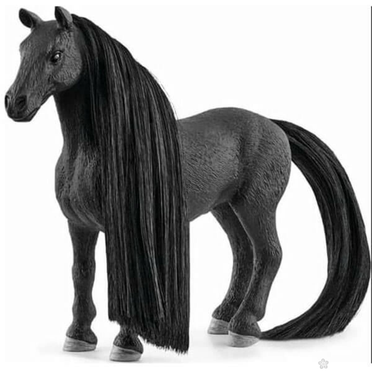 Beauty Horse Criollo Definitivo kobila 42581 