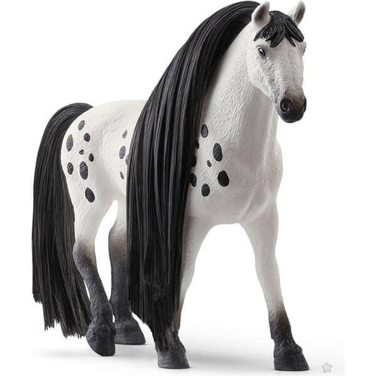 Beauty Horse Knabstrupper pastuv 42622 