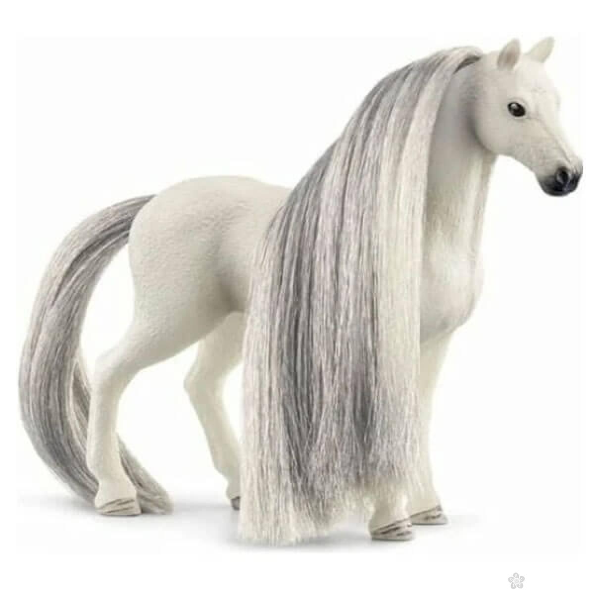 Beauty Quarter Horse kobila 42583 