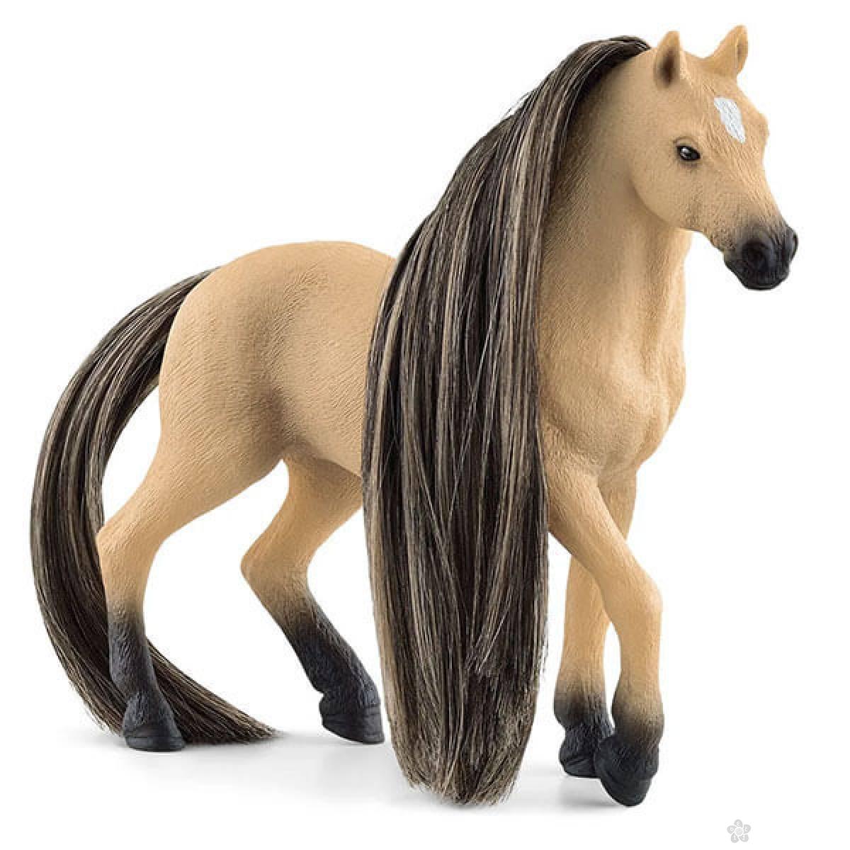 Prelepa Andaluzijska kobila 42580 