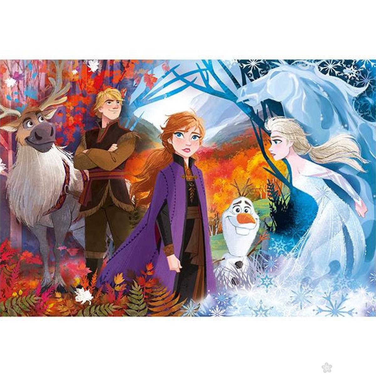 Puzzle 24  Maxi  Frozen 2  28513 