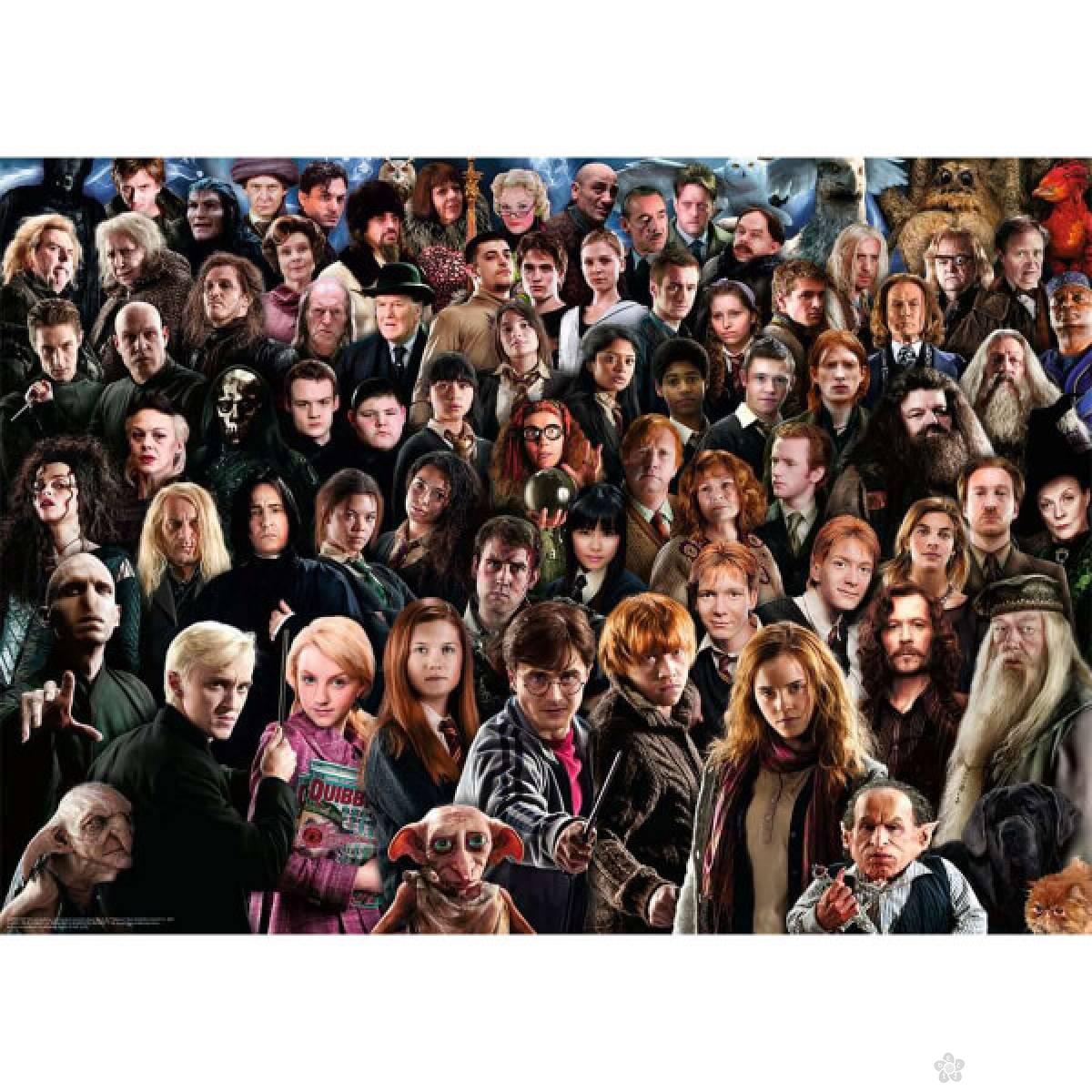 Ravensburger puzzle Harry Potter izazov RA12000457 
