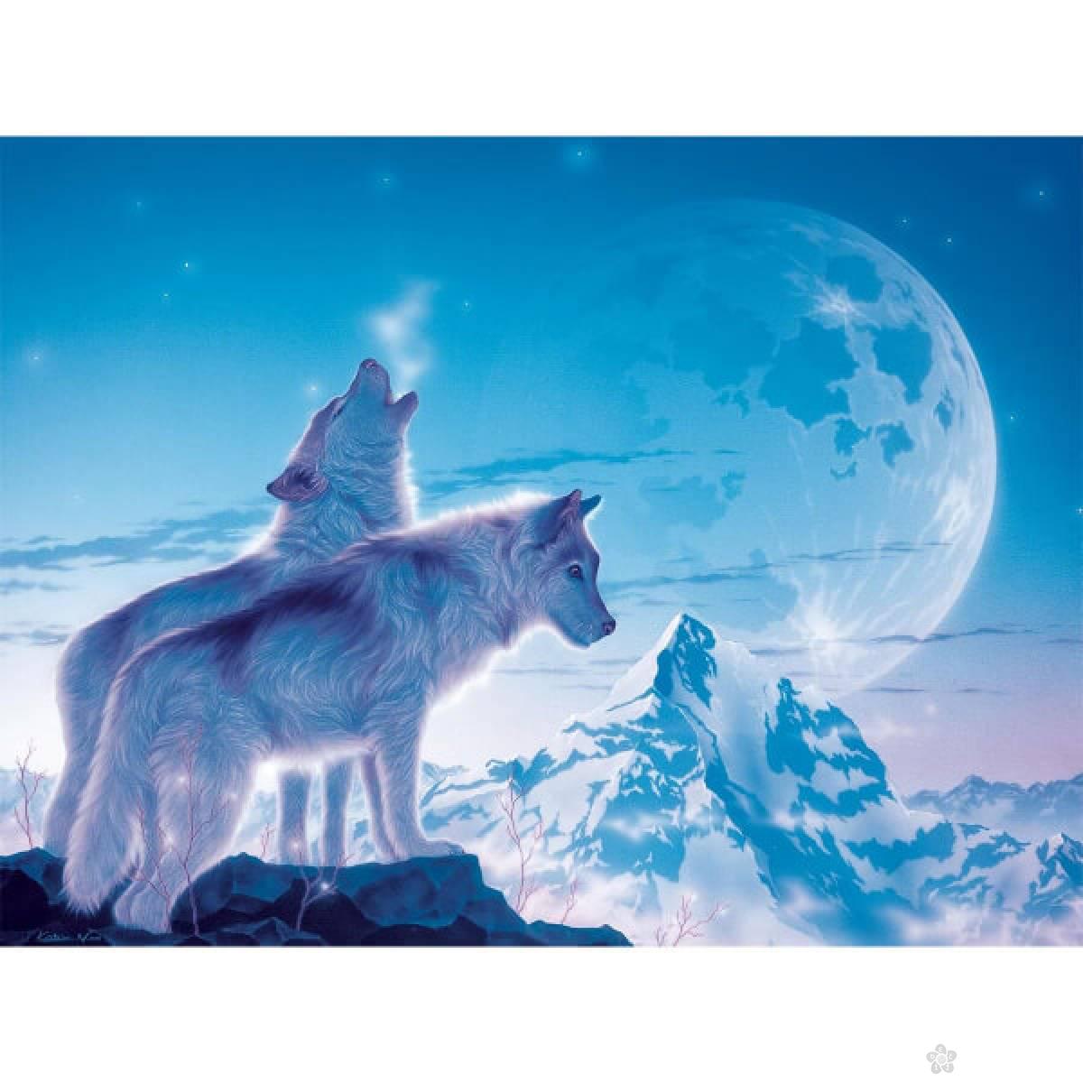 Ravensburger puzzle Pesma zore RA12000702 